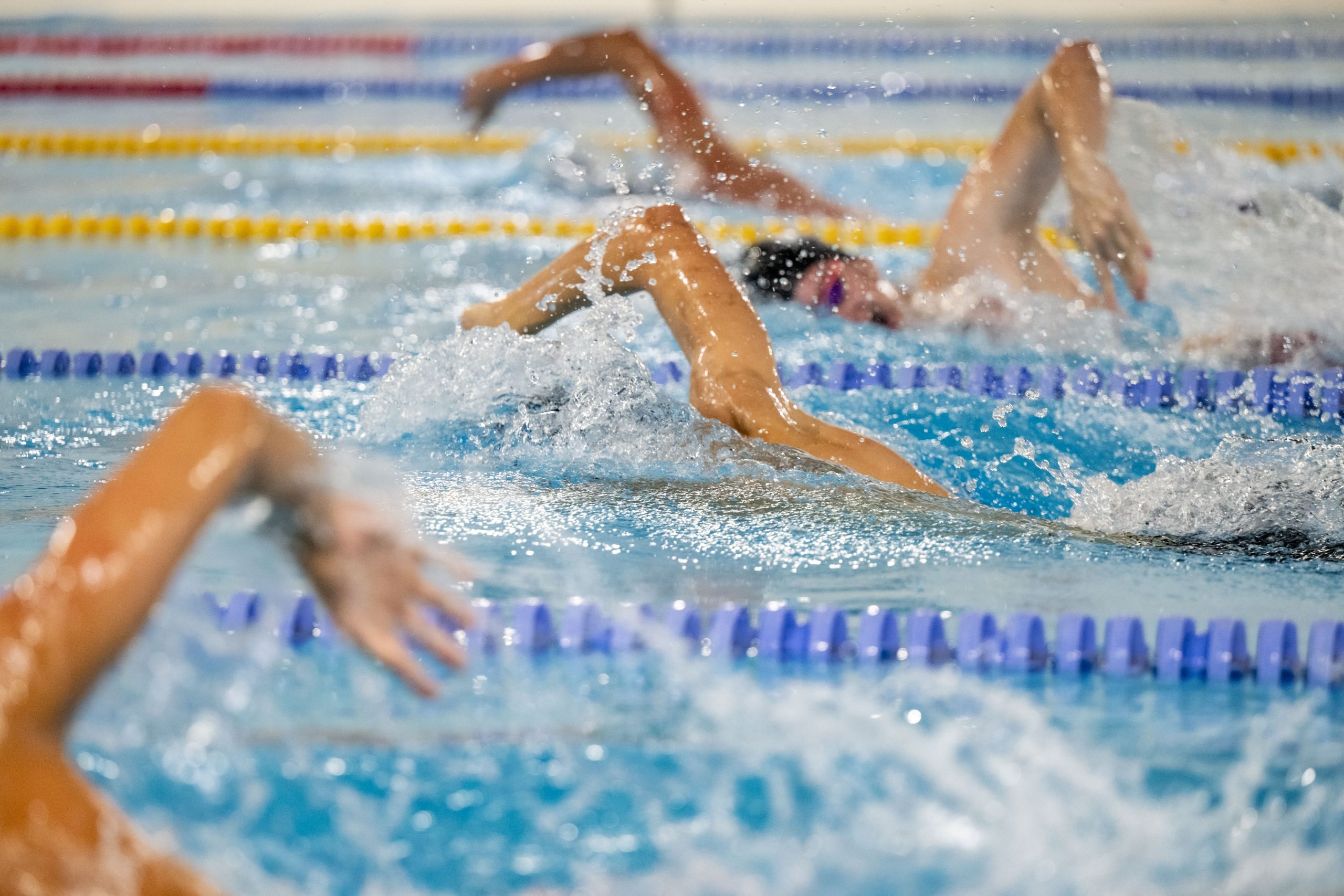 Valmieras novada atklātais čempionāts peldēšanā 2024 (176)